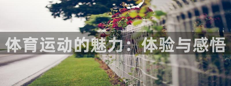 谈球吧体育