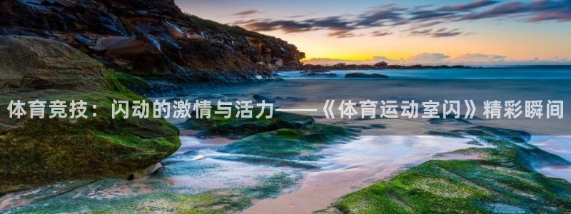谈球吧：体育竞技：闪动的激情与活力——《体育运动室闪》精彩瞬间