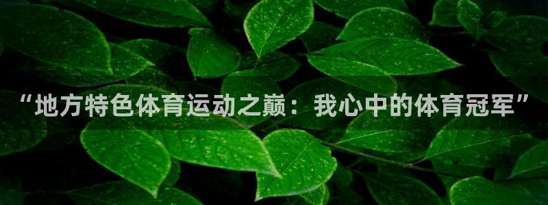 谈球吧体育官网：“地方特色体育运动之巅：我心中的体育冠军”