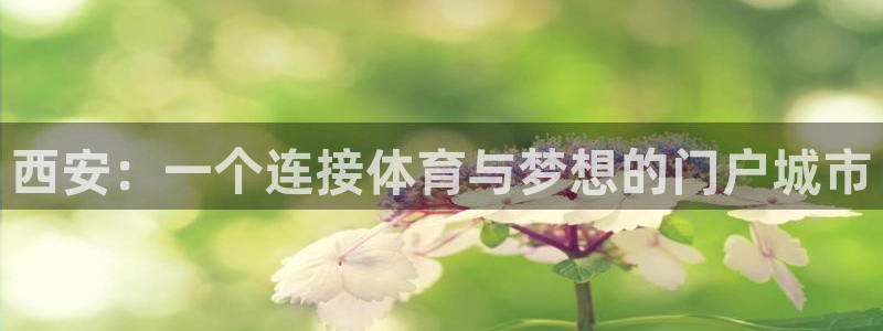 谈球吧：西安：一个连接体育与梦想的门户城市
