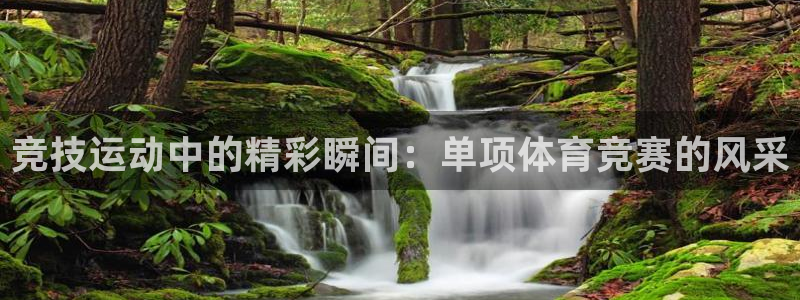 谈球吧体育官网
