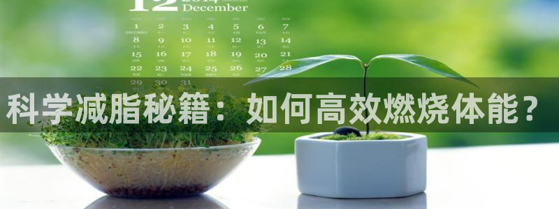 谈球吧