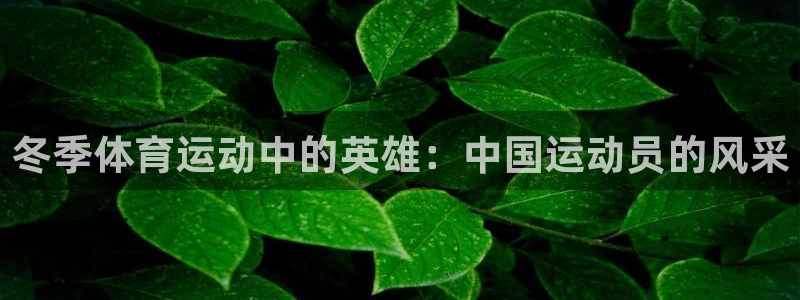 谈球吧体育官网：冬季体育运动中的英雄：中国运动员的风采