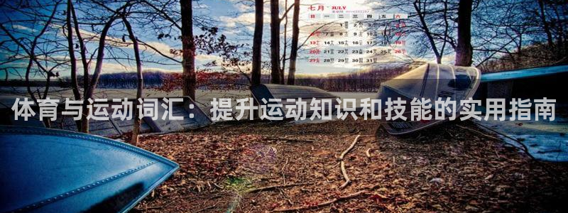 谈球吧体育官网：体育与运动词汇：提升运动知识和技能的实用指南