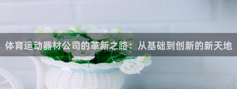 谈球吧体育：体育运动器材公司的革新之路：从基础到创新的新天地