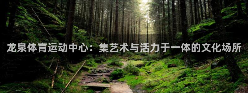 谈球吧体育官网：龙泉体育运动中心：集艺术与活力于一体的文化场所