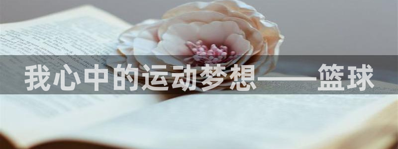 谈球吧：我心中的运动梦想——篮球